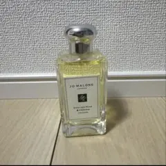 希少 オーモンドジェーン モンタバコ パルファム 120ml - メルカリ