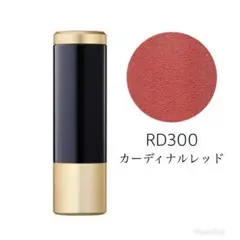 【新品未使用】ALBION ルージュヌバック RD300のサムネイル