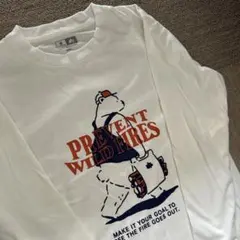 Item thumbnail for item 9c8df8c8-05d5-409f-9316-3ce09a228d2d