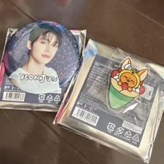 txtヨンジュン 缶バッジ PPULBATU ファンチュン ご当地 東京