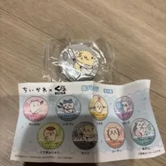 ちいかわ くら寿司 ビッくらポン 缶バッジ ラッコ
