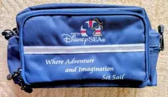 東京ディズニーリゾート　 新品未使用バッグ