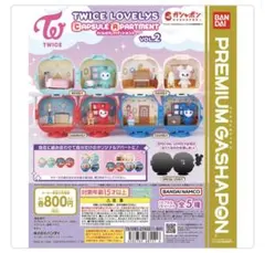 TWICE LOVELY CAPSULE APARTMENT