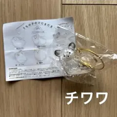 【新品】うちの子のけだまだま チワワ ガチャ　①