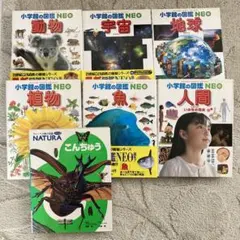 Item thumbnail for item 20a70ece-dc37-455d-8d83-462b9b13fb9d