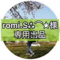 【専用出品】ワンピース スタンダード バトルパック Vol.11 2パックセット