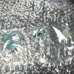 TWICEアクリルカラビナ ミナ