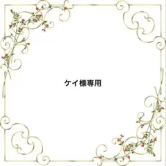 ケイ様 リクエスト 2点 まとめ商品