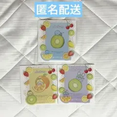 JOCHUM シークレット硬質カードケース 3点セット