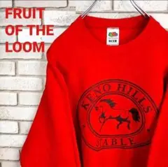 フルーツオブザルーム スウェット ビッグプリント ゆるだぼ 古着 90s