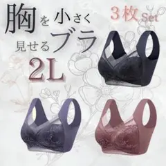 着痩せブラ2L【3枚セット】/ノンワイヤー/ナイトブラ/シームレスブラ