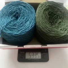 Item thumbnail for item 53ffd824-eb98-4b77-985d-e2c514dc0acd