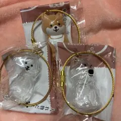 わんこのタイムカプセル ラテ