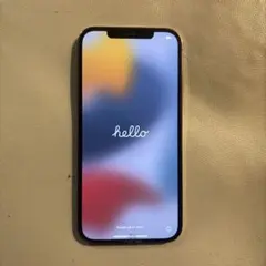 即日発送❗️【ジャンク品】Apple iPhone 12ProMax 256GB 即日発送❗️【ジャンク品】Apple iPhone 12ProMax 256GB Apple iPhone