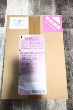 鬼滅の刃 最終話まるごと複製原稿セットmini