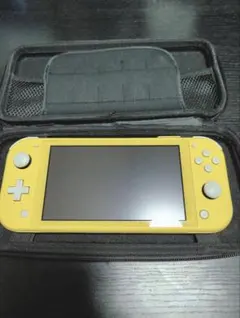 Switch Light 新品未使用 imgrc0088204270.jpg