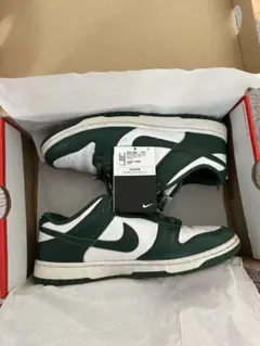 NIKE DUNK LOW RETRO TEEM GREEN