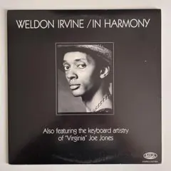 2025年最新】weldon irvine レコードの人気アイテム - メルカリ