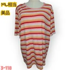 美品WHITE STAG ストライプ 半袖大きめTシャツ 22W/24W個性柄