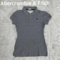 ✨ Abercrombie & Fitch アバクロ　ストレッチ　半袖ポロシャツ