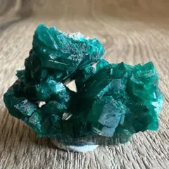 2025年最新】ダイオプテーズの人気アイテム - メルカリ