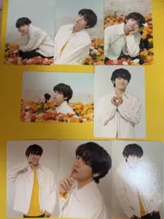 BTS テヒョン LOVEYOURSELF ミニフォト コンプ