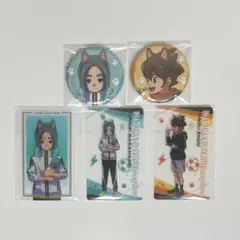イナズマイレブン 笹波雲明 円堂ハル ナンジャタウン 缶バッジ クリアカード