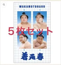 若元春 5枚セット