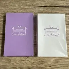 SEVENTEEN セブチ 2020 ポラロイドセット ケレン トレカ