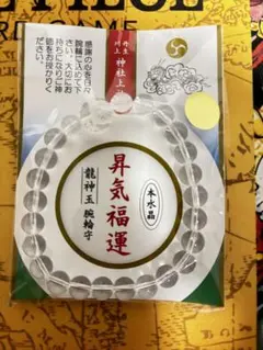 窪塚洋介愛用 丹生川上神社 水晶腕輪守 Mサイズ - メルカリ