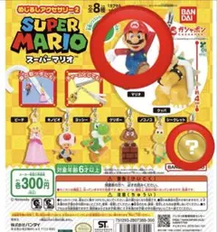 スーパーマリオ めじるしアクセサリー2 マリオ シークレット