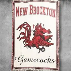 BPQK チーム ラグ タペストリー 古着 サウスカロライナ 大学 ゲーム