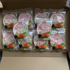 駄菓子　フルーツの森　10個のサムネイル
