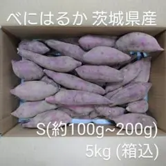 べにはるか 5kg(箱込) S(約100g～200g) 茨城県産のサムネイル