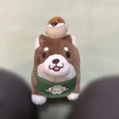 忠犬もちしば マスコット