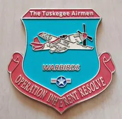 米軍実物 チャレンジコイン 金属製 ミリタリー 空軍 横田基地 C130