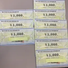 ビックカメラ　株主優待　合計9000円分