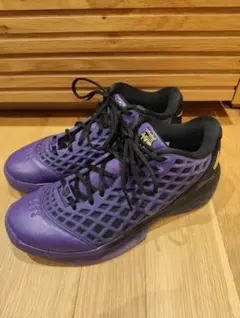 値下げ！NIKE コービー3 ロー プロトロ×FCバルセロナ