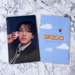 Stray Kids スキズ SKZOO TAMAGOTCHI チャンビン