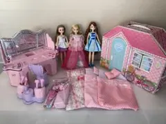 Item thumbnail for item abc14987-08ef-45b2-bbc4-e5de77b55bf3