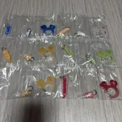 TWICE LOVELYS アクリルカラビナフロッキーマスコット　6点