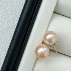 本真珠　淡水パール　ピアス　シャンパンベージュ系　S925シルバー　セミラウンド