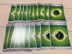 ポケモンカード　基本クサエネルギー 草エネルギー 20枚セット