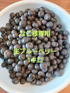 なこ様専用！自家栽培 ブルーベリー 1キロのサムネイル