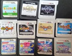 ニンテンドーDS ソフトのみ
