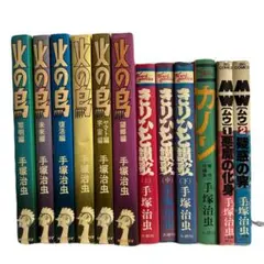 [8冊初版] 手塚治虫 関連本 12冊セット