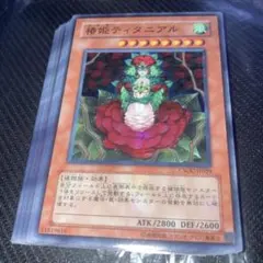 遊戯王 椿姫ティタニアル CSOC-JP029 - メルカリ