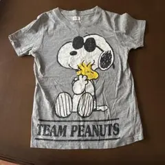 PEANUTS スヌーピー 半袖Tシャツ グレー