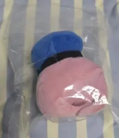 東京ディズニーランド パルパルーザ ドナルド