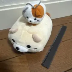 ごろねこサミット　ぬいぐるみマスコット もちもち イトウ 15cm